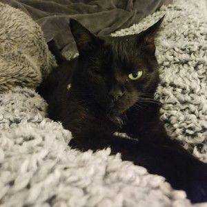 Meet your Posher, Mary